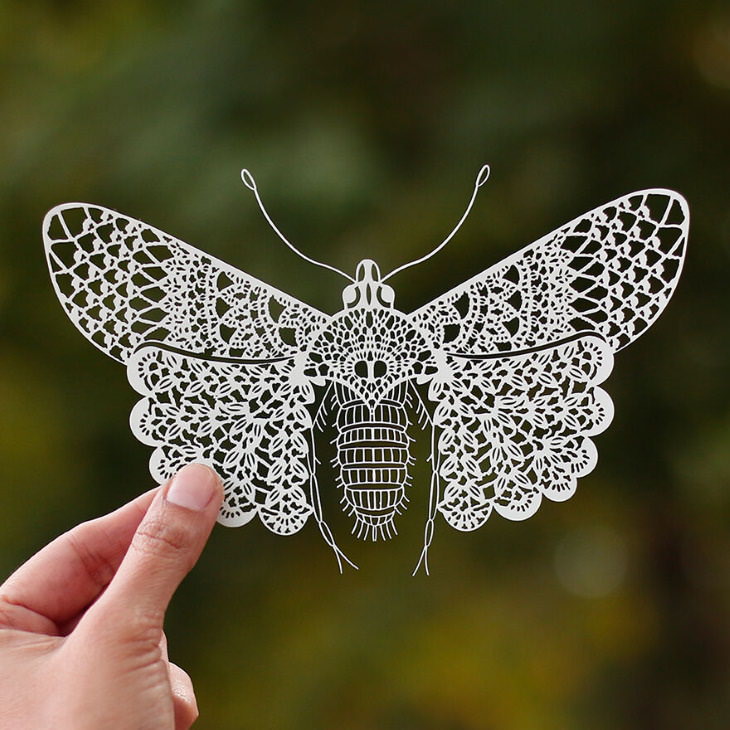 Arte Animal En Papel, mariposa