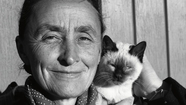 Personajes famosos con sus gatos Georgia O'Keeffe