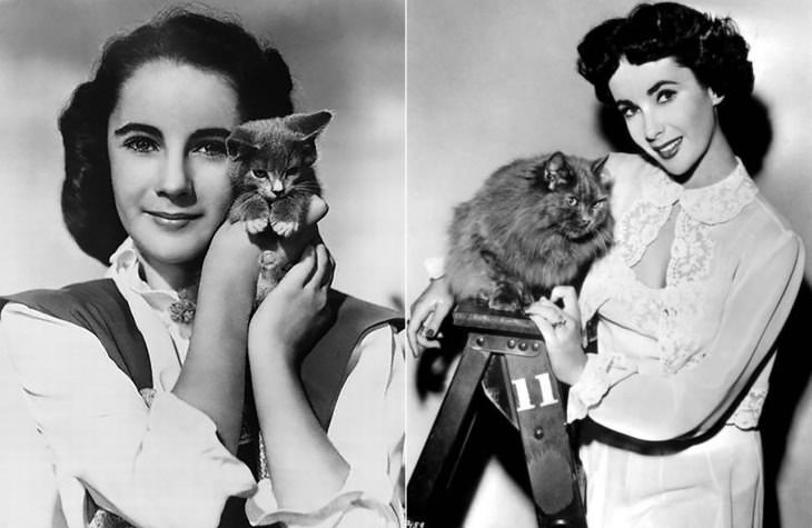 Personajes famosos con sus gatos Elizabeth Taylor