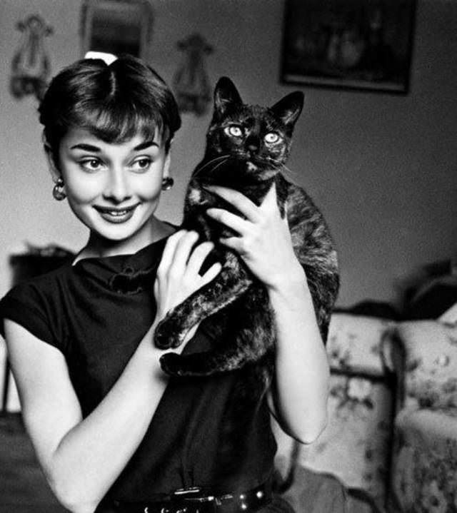 Personajes famosos con sus gatos Audrey Hepburn