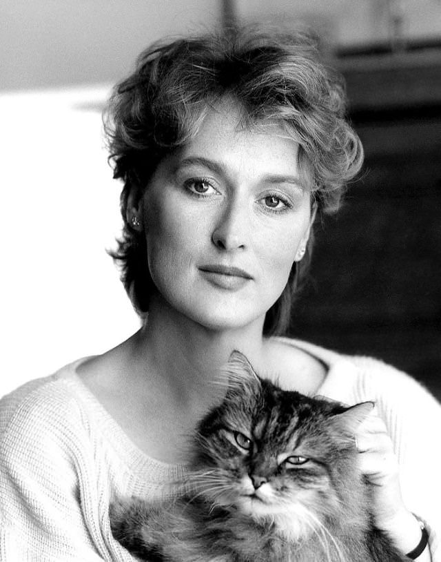 Personajes famosos con sus gatos Meryl Streep