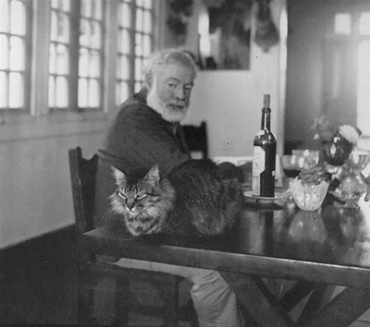 Famous Figures With Their Cats Ernest Hemingway