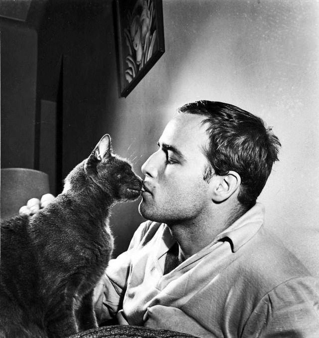 Personajes famosos con sus gatos Marlon Brando
