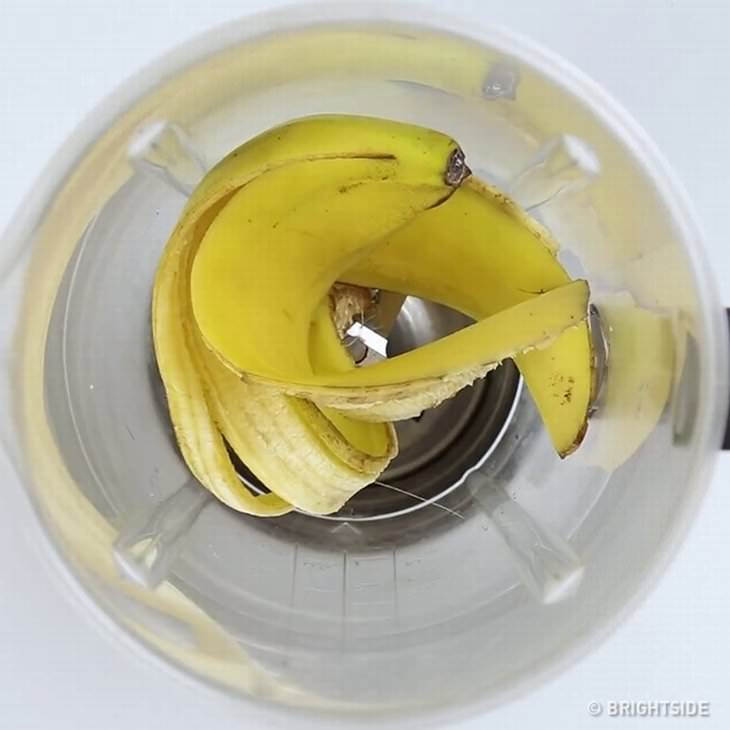 Cómo devolverle la vida a una planta con 3 simples ingredientes de la cocina: Cáscara de plátano en una licuadora