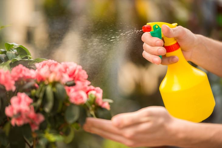 Bicarbonato de sodio para el jardín, la limpieza de las plantas