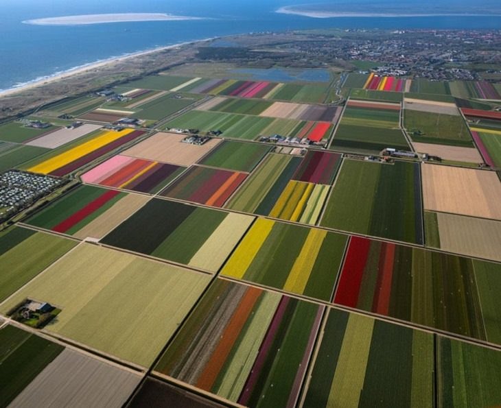 Imágenes que parecen ilusiones ópticas: campos arados que parecen una paleta