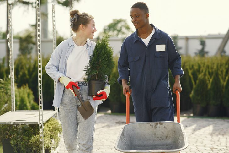 Consejos para el cuidado y mantenimiento del césped mujer elegir un árbol en el centro de jardinería con la ayuda del trabajador de jardinería