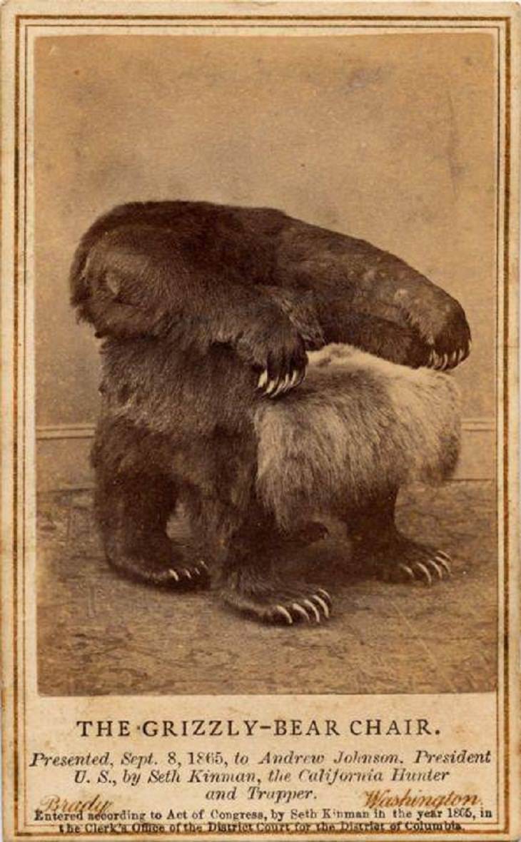 Fotos históricas raras, silla de oso pardo