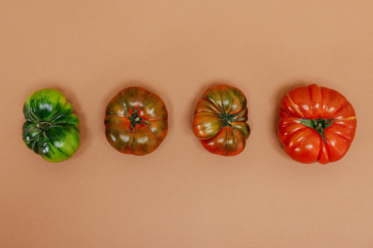 Cómo madurar los tomates verdes de verde a rojo