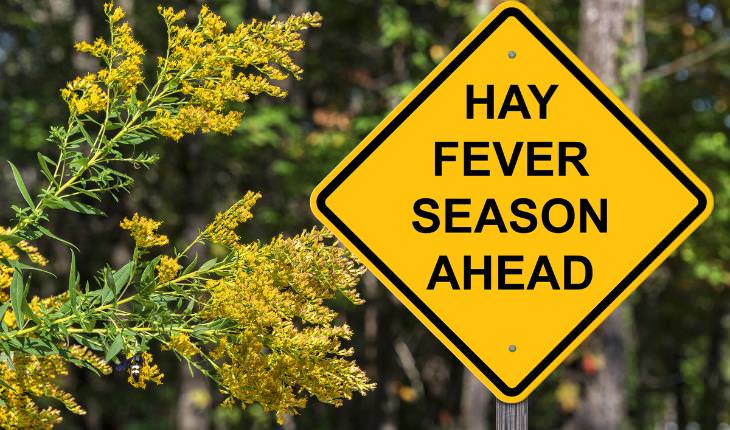oral allergy syndrome- hay fever sign