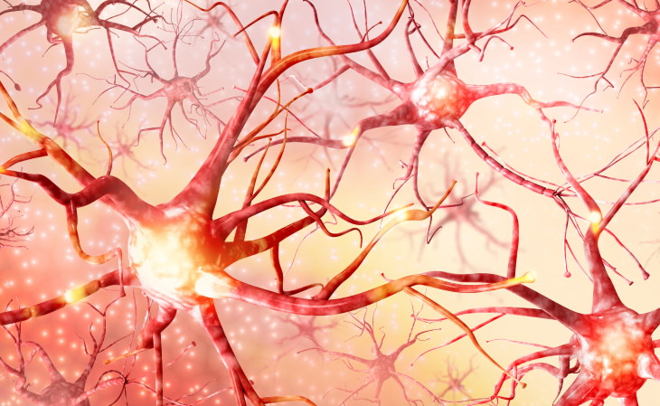 Enfermedad de Alzheimer y TDAH Medicamentos células nerviosas