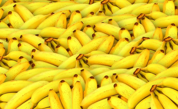 Hechos sobre la ciencia, plátanos 