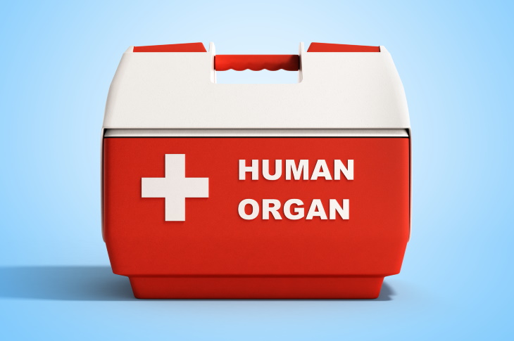 Nueva Tecnología Para El Transplante De Órganos, Hielera para el transplante de órganos