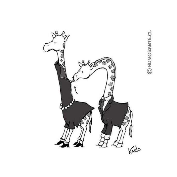 One-Frame Comics, giraffe