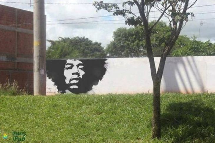 Plantas y arte callejero: Jimi Hendrix