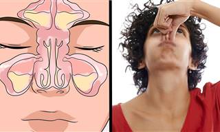 7 Artículos Para Aliviar La Congestión Nasal