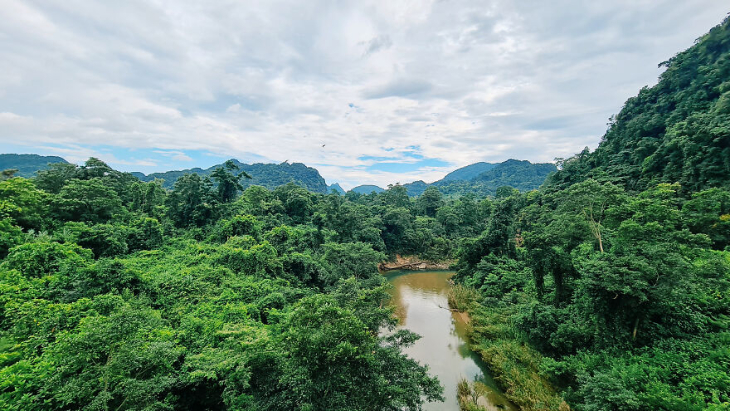 Panorama Vietnamita