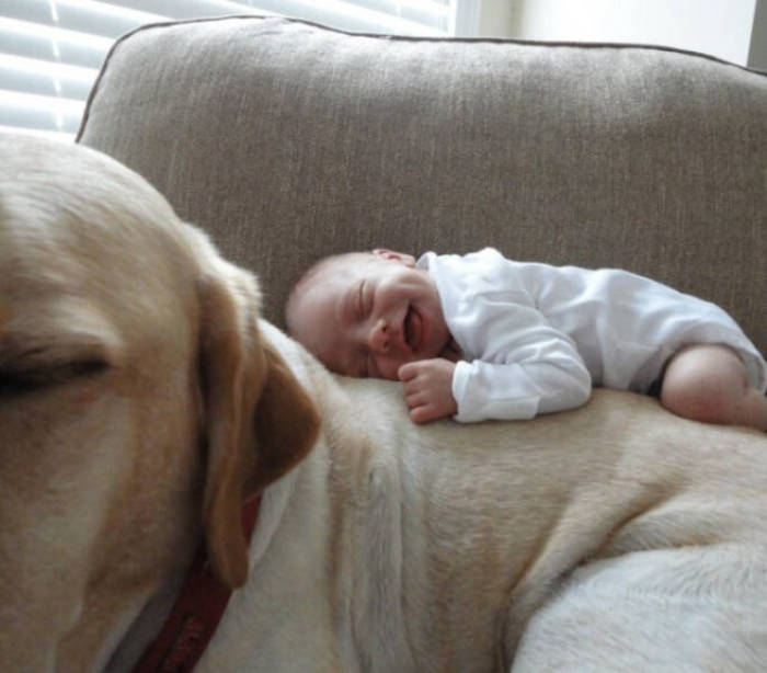 Fotos Para Alegrar Tu Día, perro y bebé