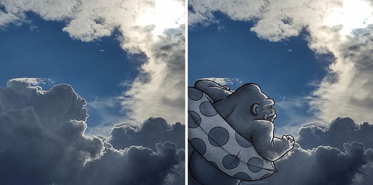 Nubes Transformadas En Animales, gorila