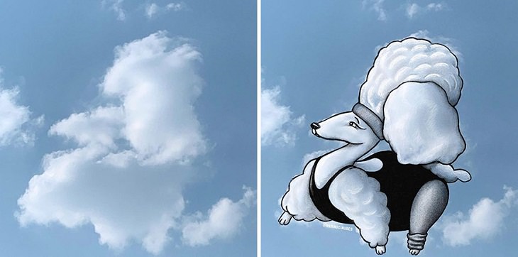 Nubes Transformadas En Animales, poodle