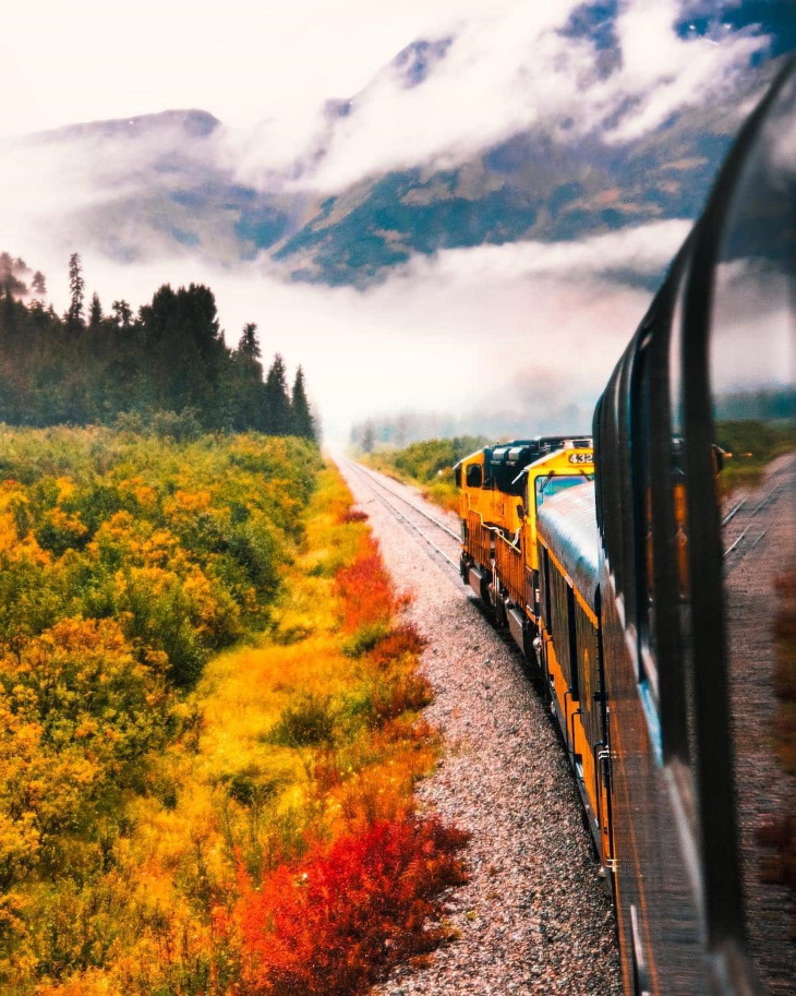 La Belleza De Alaska, tren en el bosque