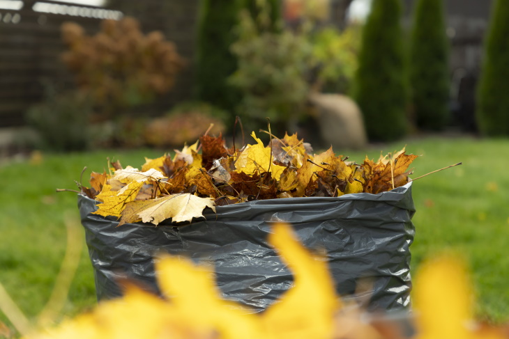 Formas De Reutilizar Hojas Caídas En El Jardín, bolsa con hojas secas