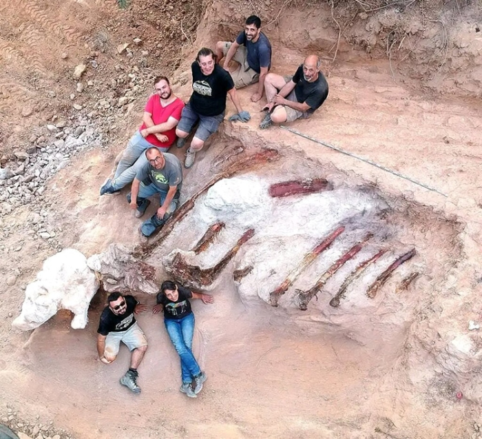  Fósil De Dinosaurio Encontrado En Europa, El equipo de excavación con los fósiles 