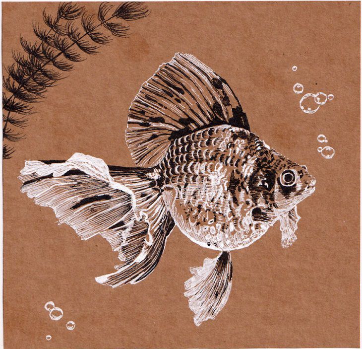 Dibujos Hechos Con Bolígrafo, pez