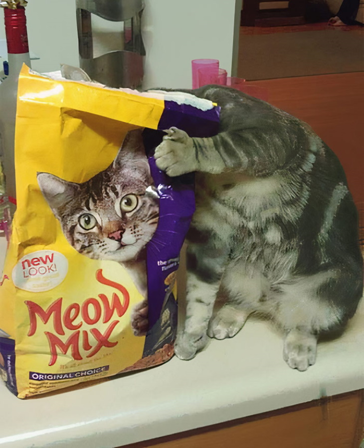 Ilusiones Ópticas Confusas, gato en paquete de croquetas