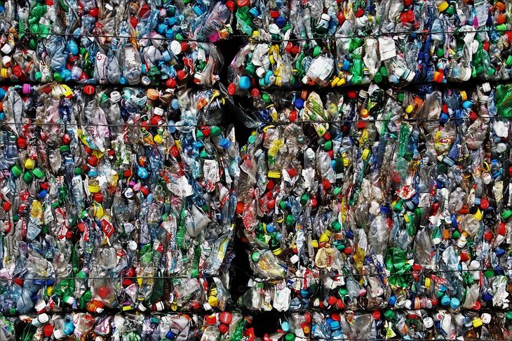 Hongo Elimina Desechos Plásticos, botellas de plástico