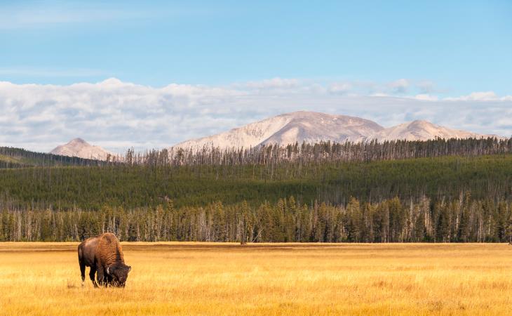 Parque Nacional de Yellowstone, Wyoming