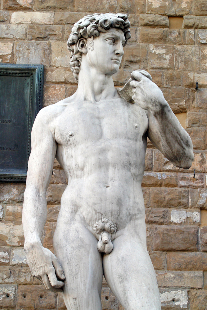 El David De Miguel Ángel, escultura completa