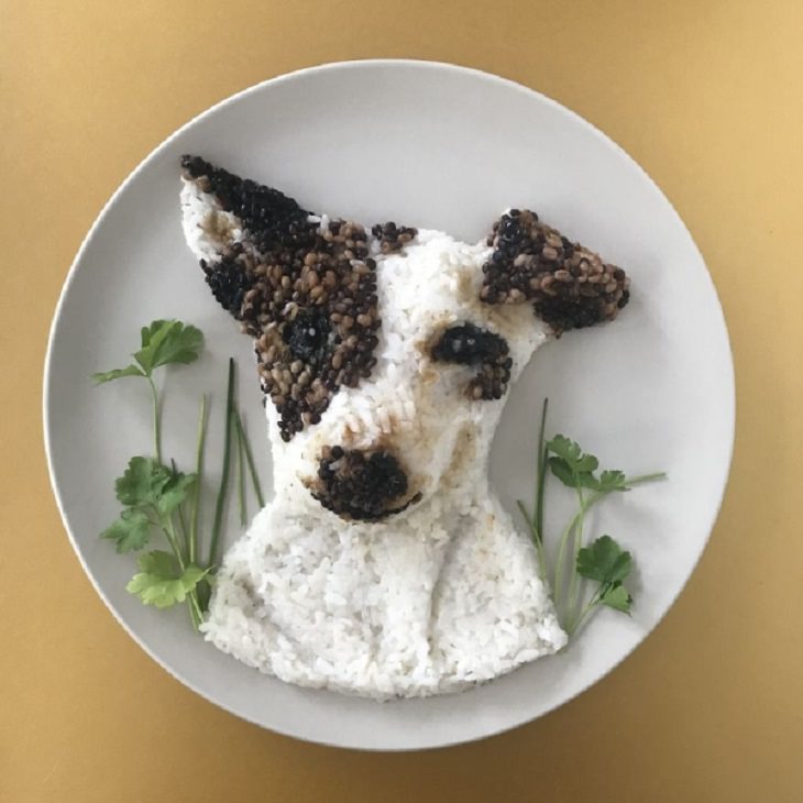 Arte Culinario, cachorro