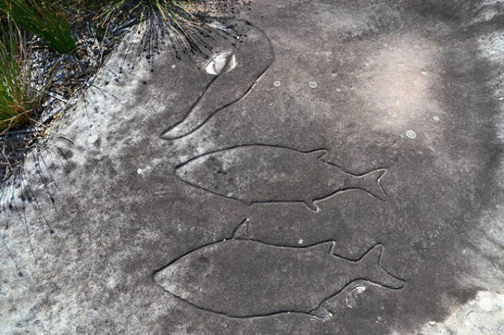 Hechos históricos sydney Grabados rupestres (3.000 a.C.)