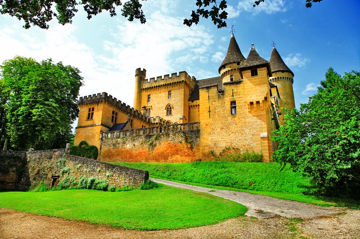 Castillo de Puymartín, Francia