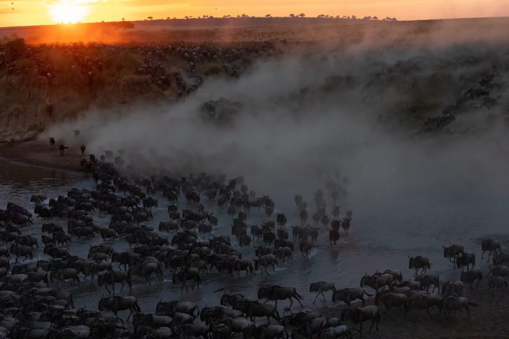 Fotógrafo Del Año Maasai Mara, Cruce del amanecer de Charlie Wemyaa-Dunn (EE. UU.)