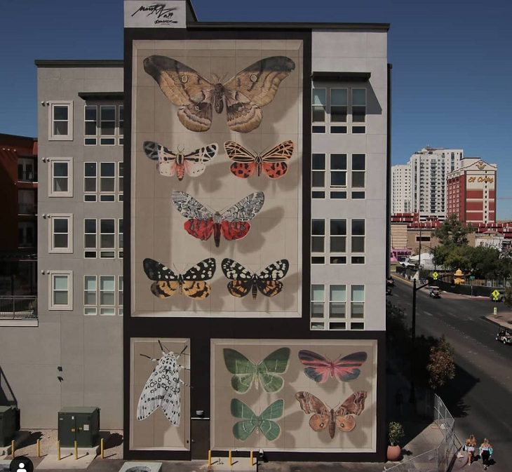 Murales De Mariposas, Polillas de Las Vegas - La colección Fremont