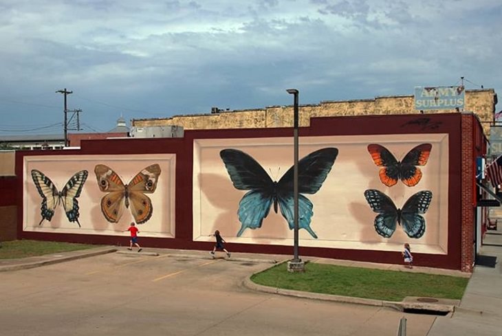 Murales De Mariposas, La colección Fort Smith