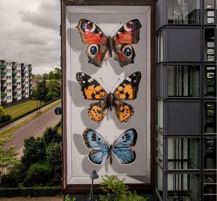 Murales De Mariposas, Vlinders van Breda, en Holanda