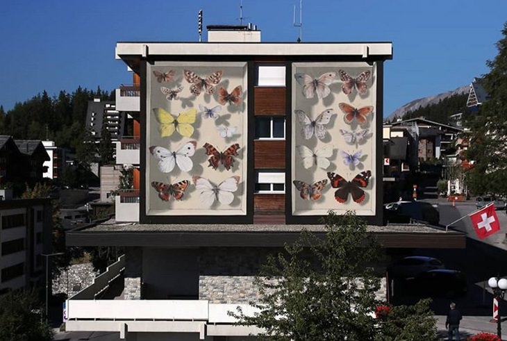 Murales De Mariposas, La colección del Valais, Suiza