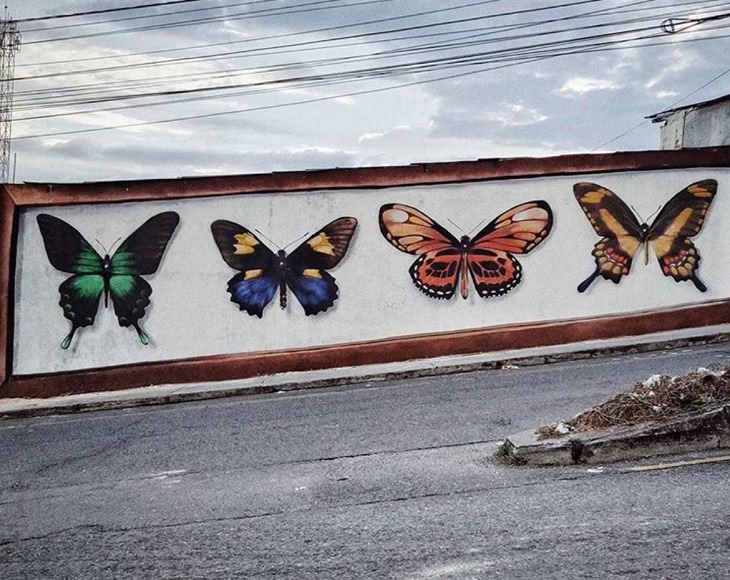 Murales De Mariposas, Mariposas del Quindío, Armenia