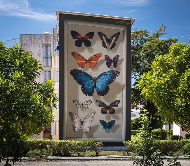 Murales De Mariposas, Mariposas de Yucatán