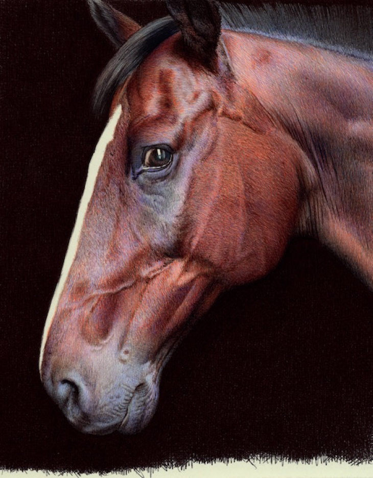 Obras De Arte Realista De Nicolas V. Sanchez, caballo