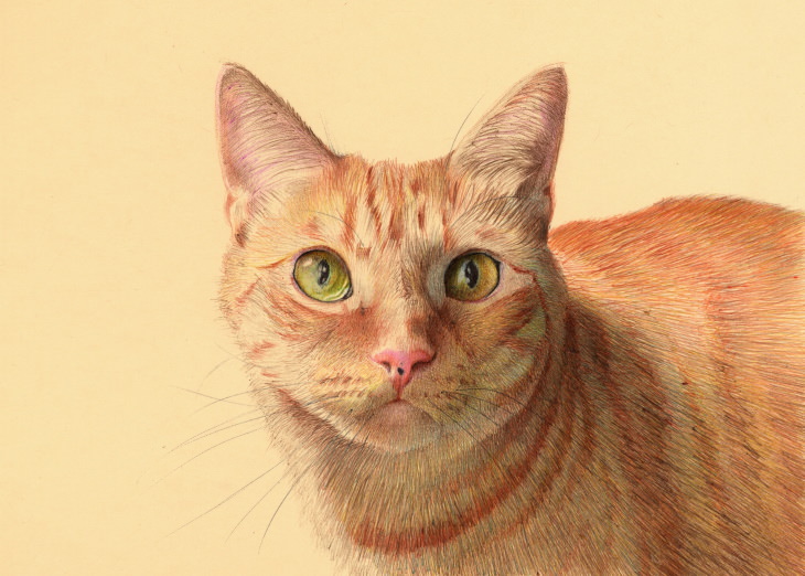 Obras De Arte Realista De Nicolas V. Sanchez, gato