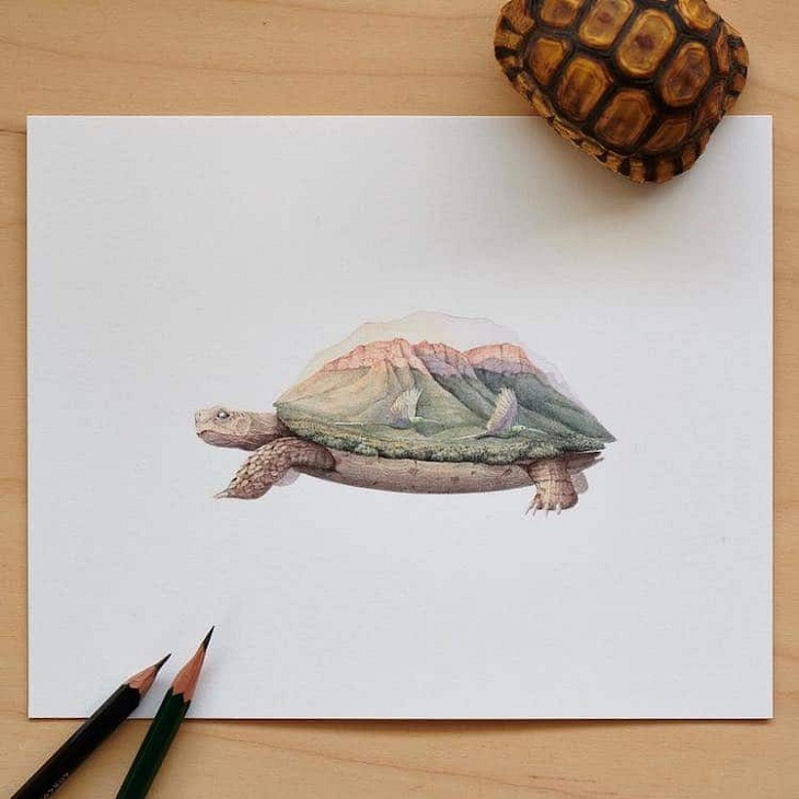 Pinturas De Animales, tortuga