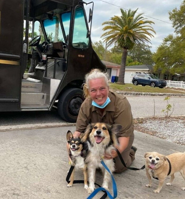 Los conductores de UPS se hacen fotos con perros 3 perros
