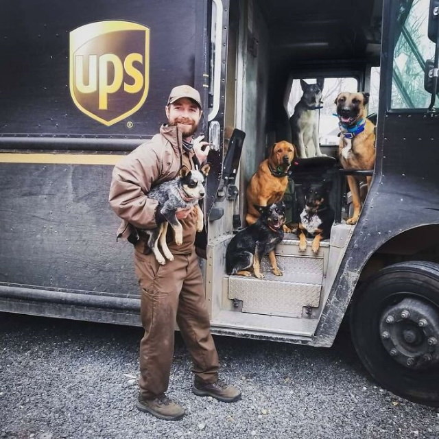 Los conductores de UPS se hacen fotos con perros 6 perros