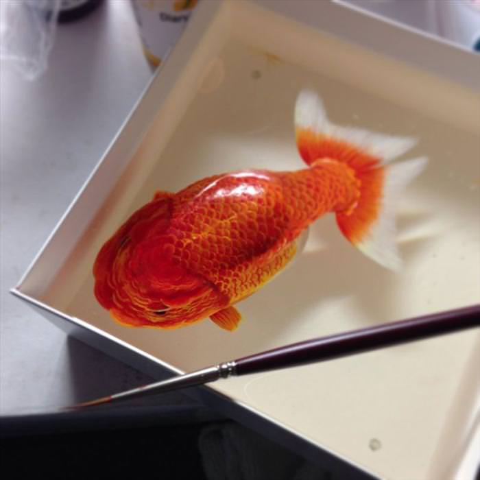 Retratos En 3D De La Vida Submarina, pez dorado