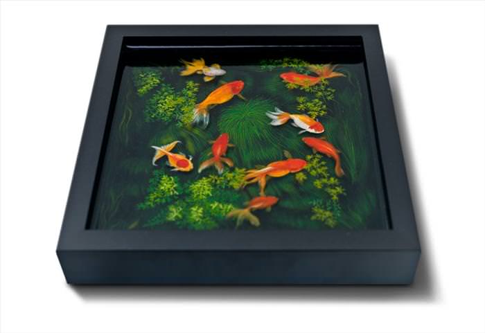 Retratos En 3D De La Vida Submarina, cuadro de peces