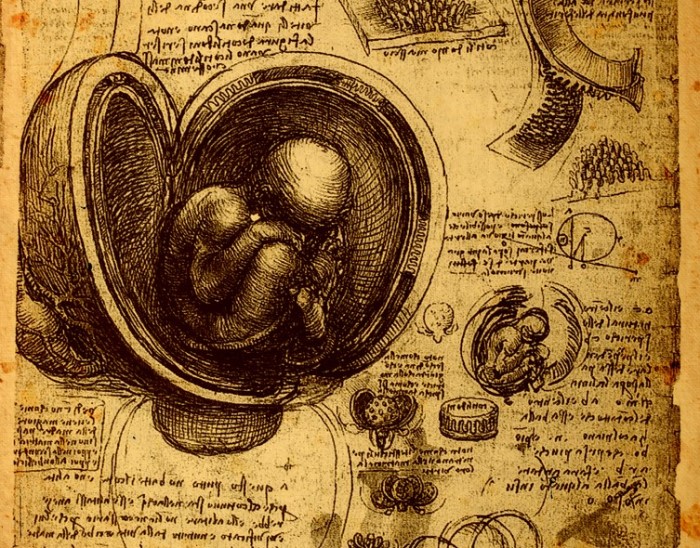 La Vida De Leonardo da Vinci, ilustraciones de biología